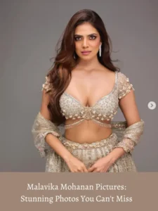 Malavika Mohanan Pictures: Stunning Photos You Can't Miss