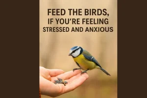 Mental Health