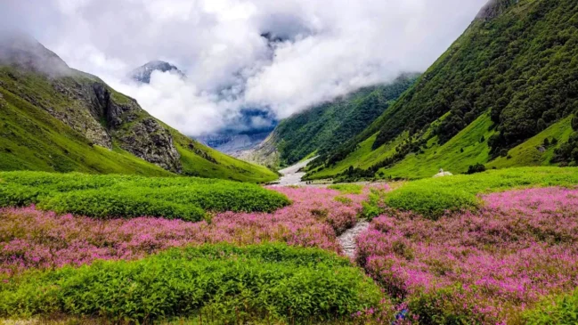 UNESCO World Heritage Site
