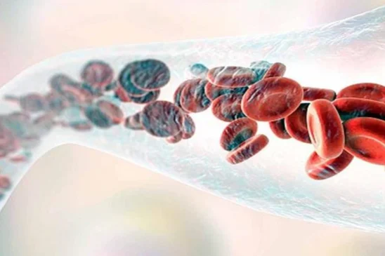 Blood Formation Process
