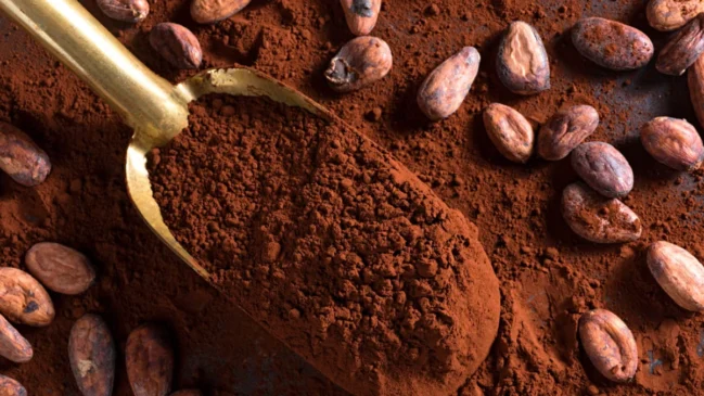 Cocoa Benefits