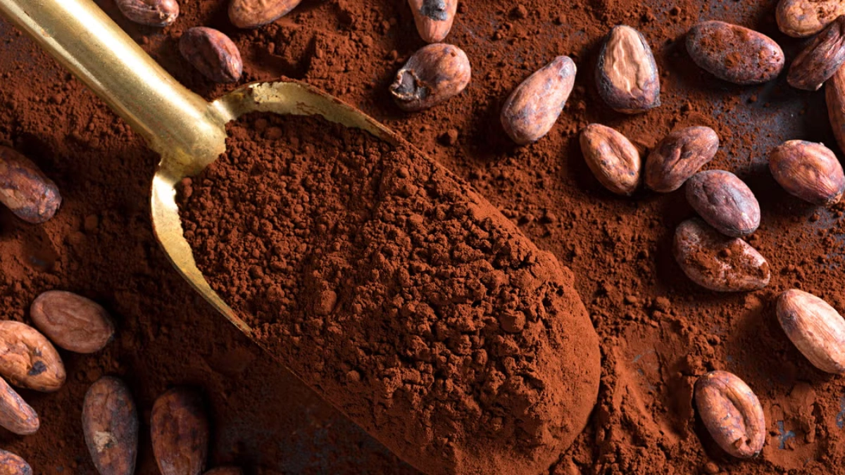 Cocoa Benefits
